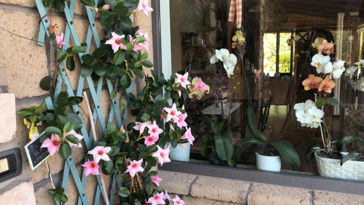 Le Rocce Bed & Breakfast